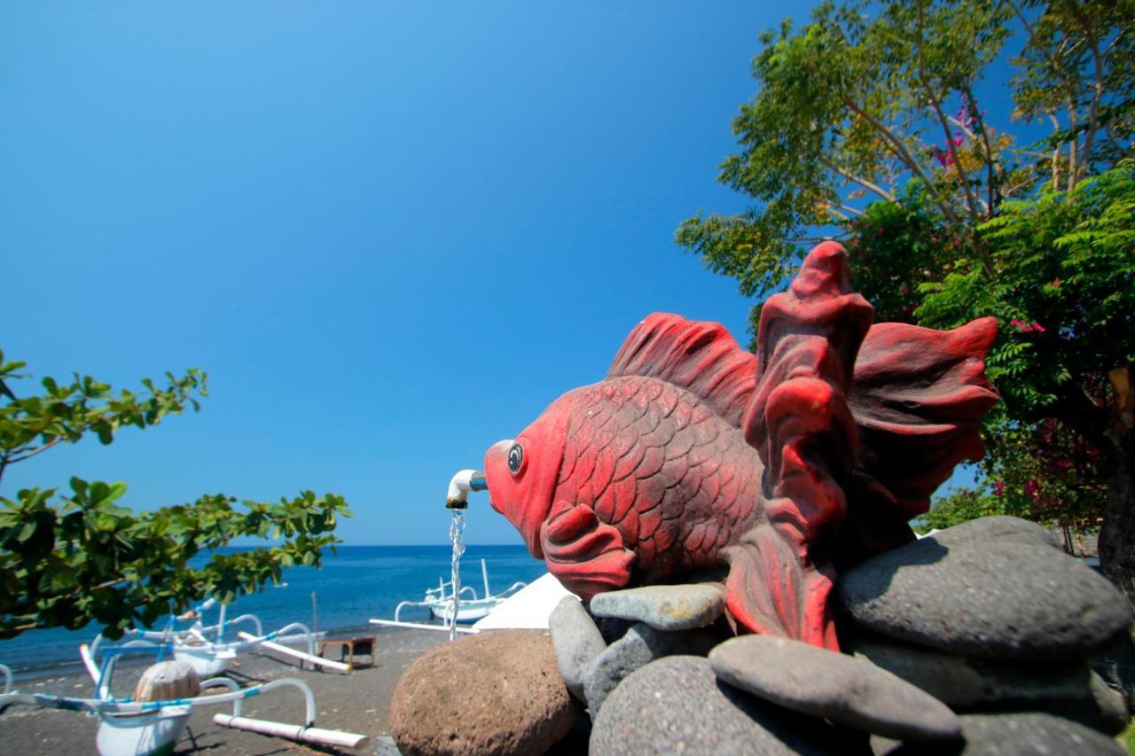 Valomia Beachfront Amed Dış mekan fotoğraf